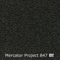 Mercator Project-Econyl 847